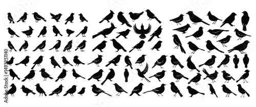 Bird silhouette set collection stock illustration
