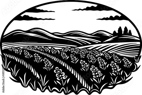 Lavender field rolling under golden sunset vector illustration