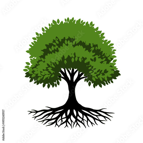 A vibrant green tree with extensive roots and full foliage against a white backdrop.