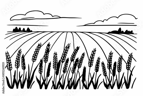 Golden wheat field swaying gently in summer breeze vector illustration