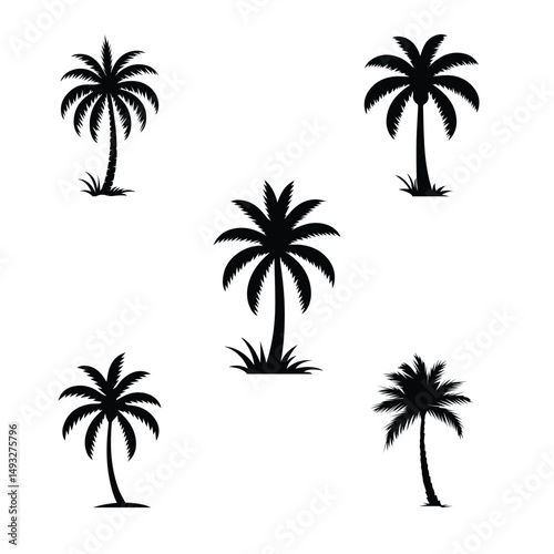 Palm tree silhouette design vector collection