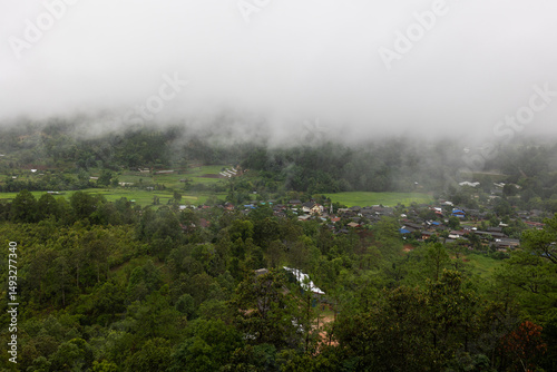 Foggy Landscape Featuring Lush Greenery.