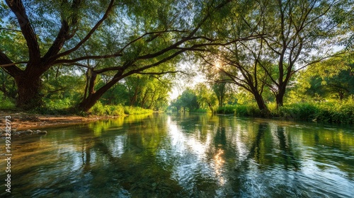 Natural river flowing through lush forest trees captured in a serene landscape scene