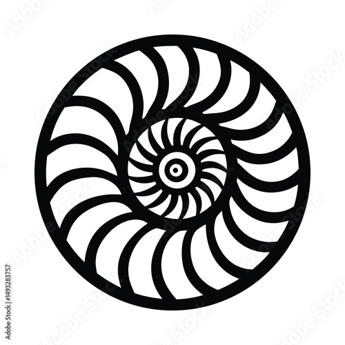 Nautilus shell spiral abstract black and white design