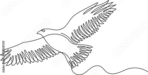 Hawk in continuous line drawing style. Minimalist sketch of eagle, hawk in minimalist black linear isolated on white background. Vector illustration
