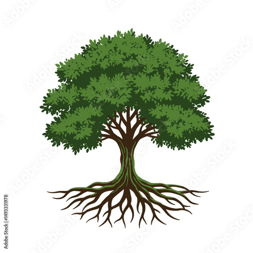 Detailed illustration of a strong oak tree with expansive roots.