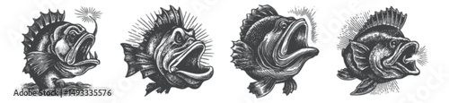 Detailed Engraved Illustrations of Various Fish Species with Expressions