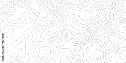 Abstract Topographic map background with wave line. White wave paper curved reliefs abstract background. Vector illustration. wave Line topography map contour background.