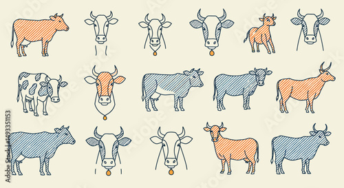 Collection of Stylized Cows and Calf in Orange and Blue Hatching