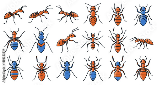 Cartoon Ants Orange and Blue Insect Illustrations with Detailed Legs and Antennae