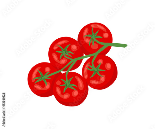 Tomatoes branch isolated on white background. Top view. Vector cartoon flat illustration