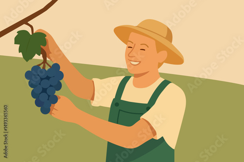 Gardener picks grapes blue. Vector stock illustration eps10. Adobe Illustrator Artwork