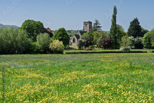 Fototapeta Naklejka Na Ścianę i Meble -  English meadow