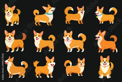 Flat vector illustration of a happy corgi dog with a wagging tail, golden-orange fur, minimal flat style, clean design, black background
