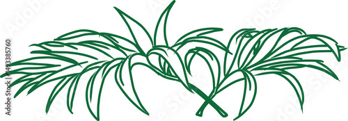 Tropical palm leaves illustration. Exotic foliage design.