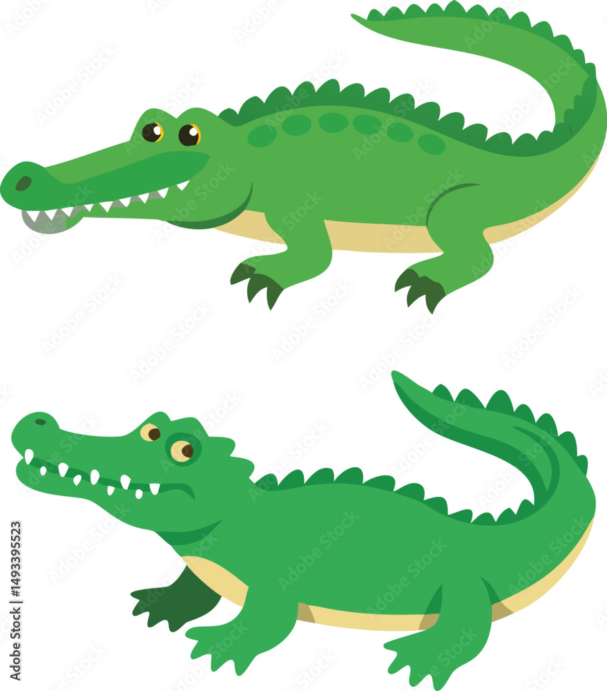 Fototapeta premium Beautiful Animal of cute alligator