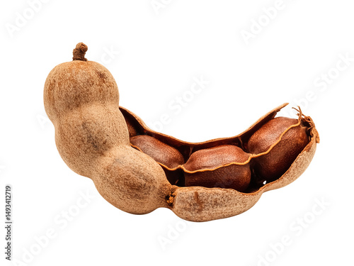 A wild tamarind pod opened isolated on white background stringy brown flesh clean layout