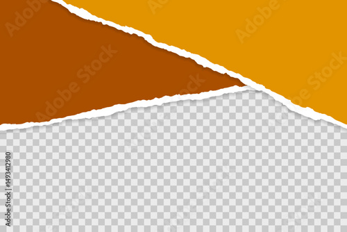 Torn paper,  vector illustration 