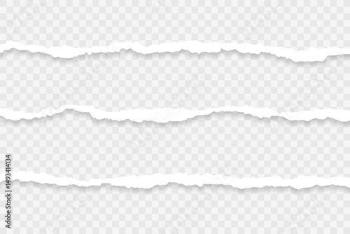 Torn paper,  vector illustration 