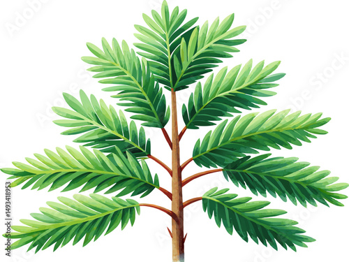 A watercolor illustration of an Eastern Hemlock (Tsuga canadensis), with drooping branch tips and fine evergreen needles, isolated on a white background.