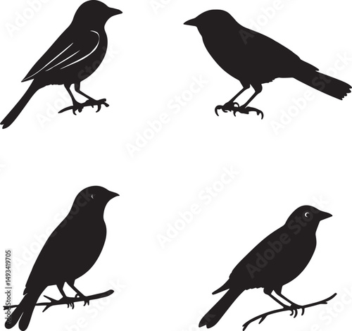 This artwork is digitally enhanced using AI and manually edited for quality. A set of four bird silhouettes perched on tree branches.