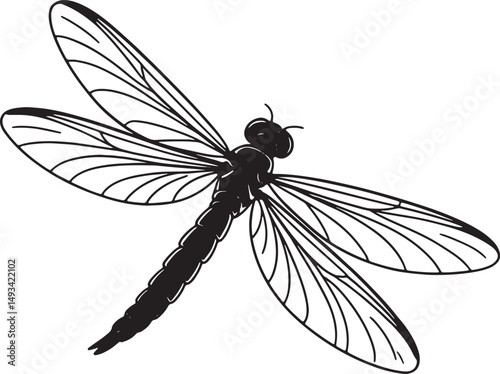 fire fly line art design illustration premium quality