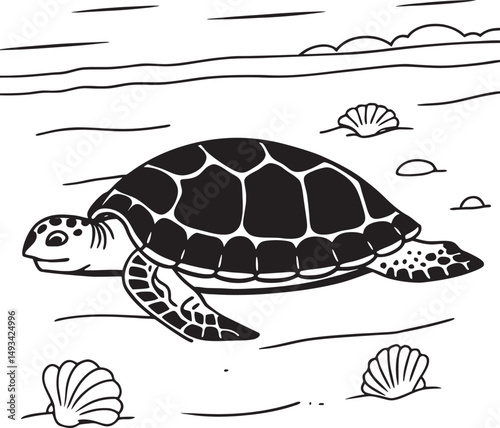Cute Turtle on the beach