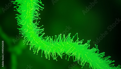 Microscopic view of a cyanobacteria (blue-green algae, Oscillatoria) filaments. Polarized light with crossed polarizers, 8k. with white shades