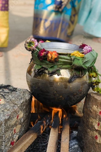 pongal celebration , Hindu harvest festival celebrated by Tamilnadu 