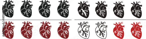 Human Heart Intricate Svg Bundle Design