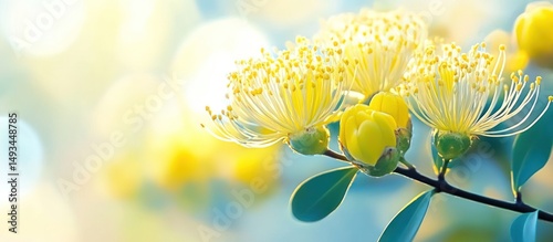 Radiant golden blooms, capturing the allure of botanical elegance against a bokeh backdrop