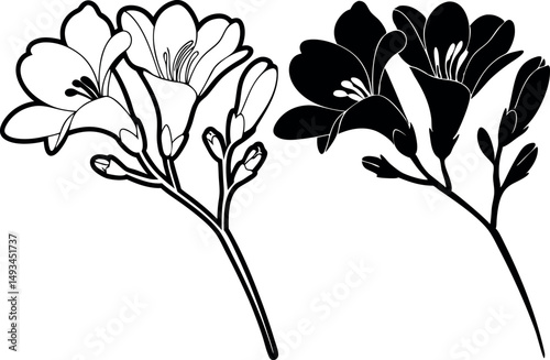 Simple Freesia Flower Vector Style