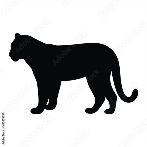 Silhouette of a Strong Powerful Black Panther Walking with Purpose and Determination
