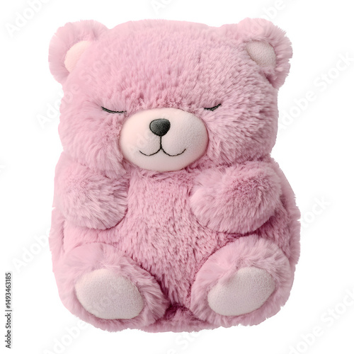 A pastel pencil case shaped like a sleepy bear, plush texture visual, isolated on transparent background .
