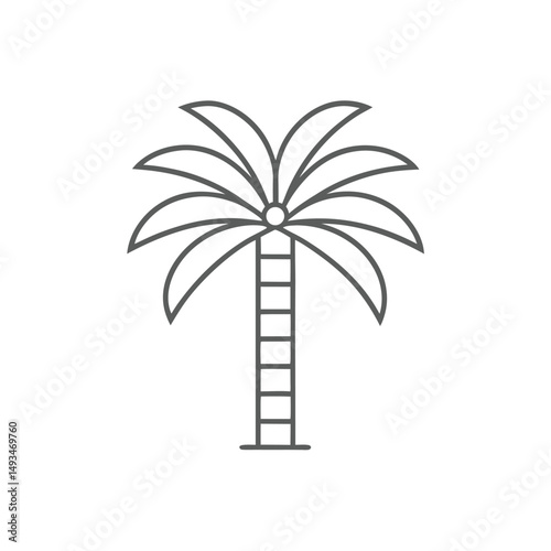 Flat Palm Tree Line Drawing Vector.