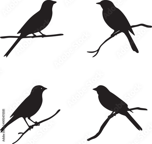 This artwork is digitally enhanced using AI and manually edited for quality. A set of four bird silhouettes perched on tree branches.