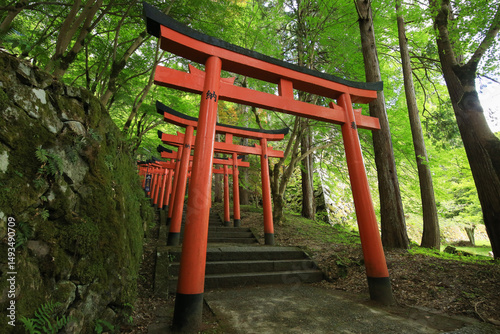 兵庫県勝岡市　有子山稲荷神社への道