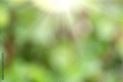 Green Nature background. Abstract blur green leaves of tree in nature forest. Green Spring and Summer Background with Sun Lens Flare and Defocused Blurred Motion Bokeh Lights Foliage Background