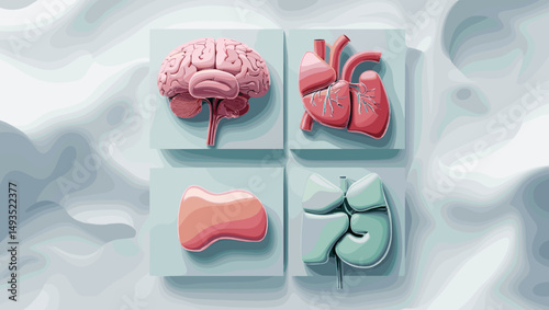 Colorful 3D medical illustrations of human organs including brain, heart, stomach, and kidneys