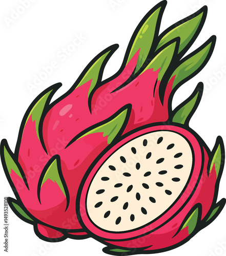 dragon fruit vector illustration