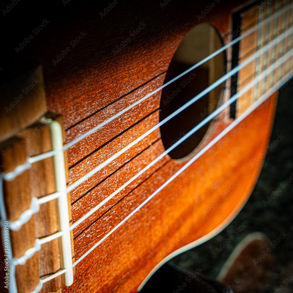 Obraz premium November Daily - Uke