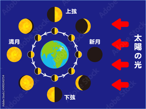 地球と月の満ち欠けの図解イラスト素材