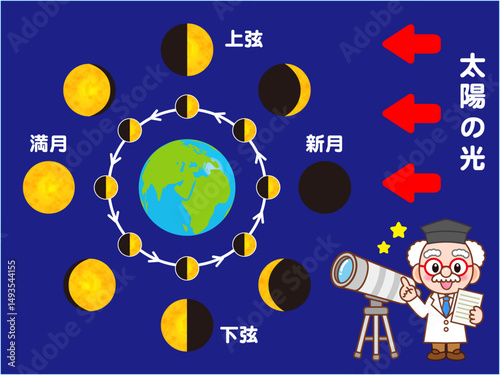 地球と月の満ち欠けの図解イラスト素材2