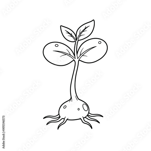 Little seedling sprout cute cartoon outline line art illustration. Gardening farming agriculture coloring book page activity worksheet for kids
