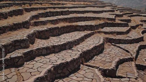 Dry terraced tea fields with parched, cracked soil due to prolonged drought, ideal for illustrating water scarcity and climate change. Drought-stricken tea plantation with cracked soil

