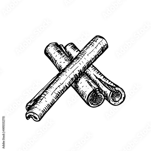 Cinnamon herb sketch outline illustration. Botanical drawing in engraving style for cooking, aromatherapy, garden, medicinal concept. Hand drawn floral vector clipart isolated on a white background
