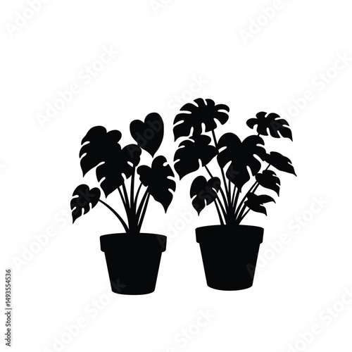 Two pots of plants on white background illustration