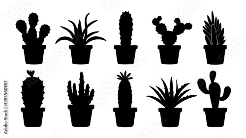 Cactus in pots silhouette