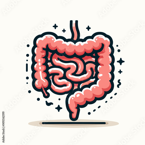 human intestine vector illustration 