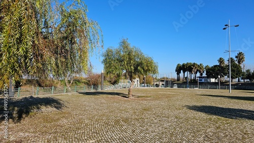 Open Urban Square with Trees and Palm Background on Sunny Day